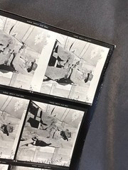NEWLY FOUND Hendrickson PHOTO Contact Sheet Proof & Negs JUST A COWBOY & HIS DOG