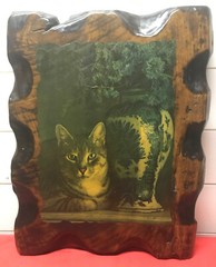 Vintage Cat Photo On Rustic Barn Wood 14 1/2” X 18 1/2”