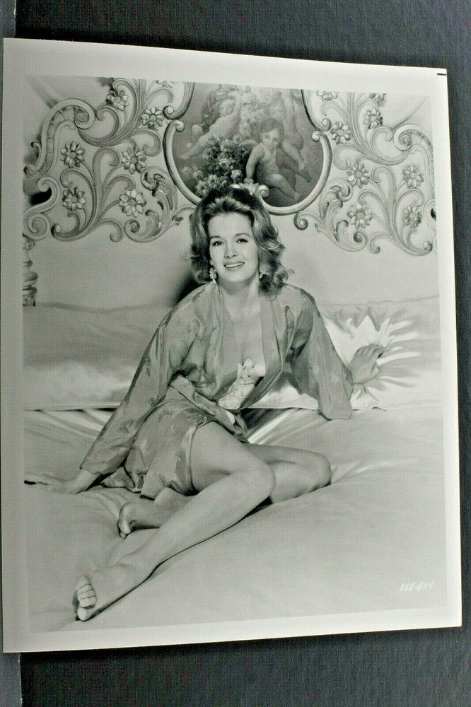 Angie Dickinson Come Hither Pin Up – 8×10″ Photo Print-Vintage L1179B