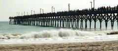 Beautiful Nature Photographs, Archival Quality Prints, Matted and Signed