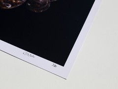 Fine Art Photography Print – Oysters – Artistic Food Photography
