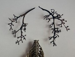 PATRICIA SILVA ‘Have a Spine, Take a Breath’ Abstract Nature CONTEMPORARY Photo