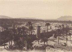 Algeria Photography Vintage Analog Geiser