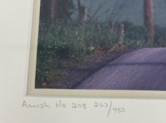 Bill Coleman “Family” Framed Amish #208 263/450 Pencil Signed Photography /r