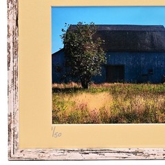 MICHAEL RAY Original Vintage Signed Long Island Landscape Barn Photograph Print