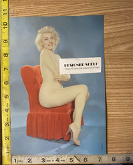 Maria Stringer Pinup Burlesque Lingerie Go-Go Scene Book Photograph