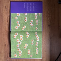 Anne Geddes Down In The Garden Photography Coffee Table Book 3rd Canadian Ed.