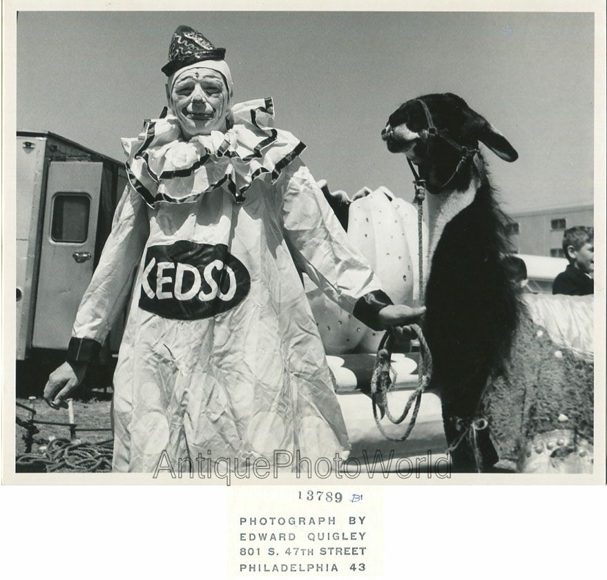 Circus Kedso the Clown posing with Llama vintage art photo by Edward Quigley