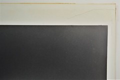 HUGO WESSELS VINTAGE HAND SIGNED 1972 SILVER GELATIN PHOTOGRAPH NUMBERED OSPREY