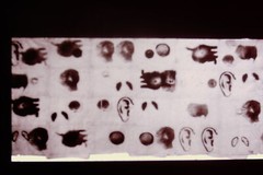 Vintage Art History 35mm Glass Slide Kiki Smith A MAN 1990