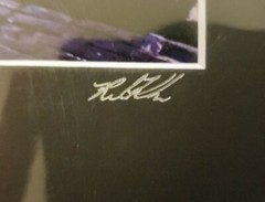 Melbourne Street Art photography Rita Analise Graffiti signed Autographed Joker