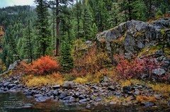 Little Salmon River October #2 Valley County Idaho Mountain Photo Print LS02