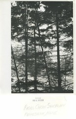 Rachel Carson Park Maine vintage art photo F.3 Anderson