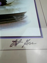 VTG Retro 80s Art 1983 Art Poster Series Art Gore Photograph “Violets”