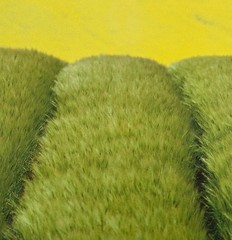 Gisela photo, barley penis, photograph, 1992, autographed and numbered
