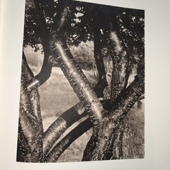 ALFRED STIEGLITZ Photographs and Writings. National Gallery Of Art. 1st.Ed,