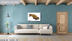 Reptilian Royalty: Gila Monster Wall Art Metal Acrylic Print Reptile Photography