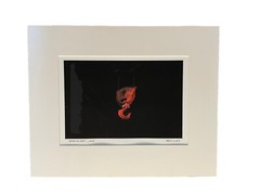 Monmouth University Mark Ludak, MFA Signed Photo Red Hook 2004