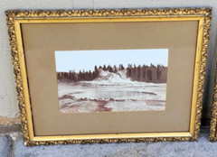 Frank Jay Haynes Hand Tinted Yellowstone Photos