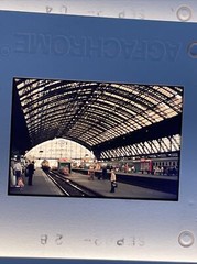 Lot Of 40 Vintage Fashion Holland Amsterdam Vacation 35mm Color Slides ct57