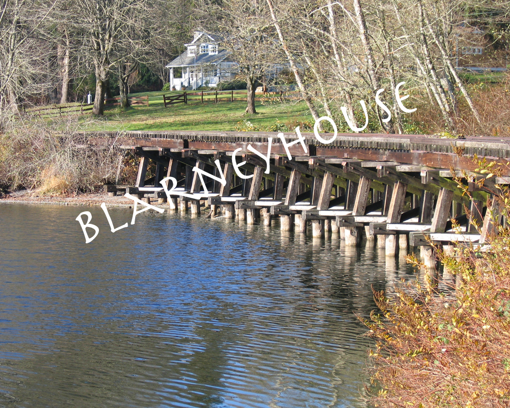 NICE photo of an old abandoned RAILROAD BRIDGE! 8 x 10! Bellingham, Washington