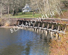 NICE photo of an old abandoned RAILROAD BRIDGE! 8 x 10! Bellingham, Washington