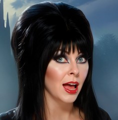 Sexy Elvira Mistress of the Dark with Castle Metal Sign Wall Art 10″ x 14″