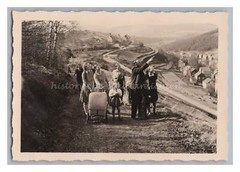 vmlt. Eiserfeld 1955 – Tolle Szene von Familienausflug – Altes Foto 1950er