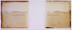 Vintage Glass Photo Plate Course de Chevaux c1920 V28L25n9 Tirage Original