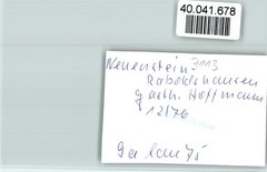 40041678 – 6431 Raboldshausen Gasthaus Hoffmann entertainer on organ
