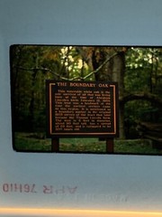 Lot Of 40 Vintage 1970’s Yellowstone National Park 35mm Color Slides 2-9-6