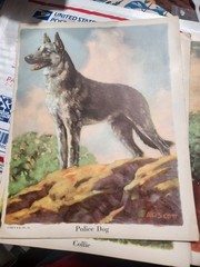 Vtg. Paper Ephemera Dog Themed
