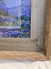 DAN RICHARDS Texas Hill County Blue Bonnet Flower Framed Matted Photograph Cedar