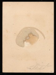 Albumin on Cardboard – View of Munich – Circa 1870s
