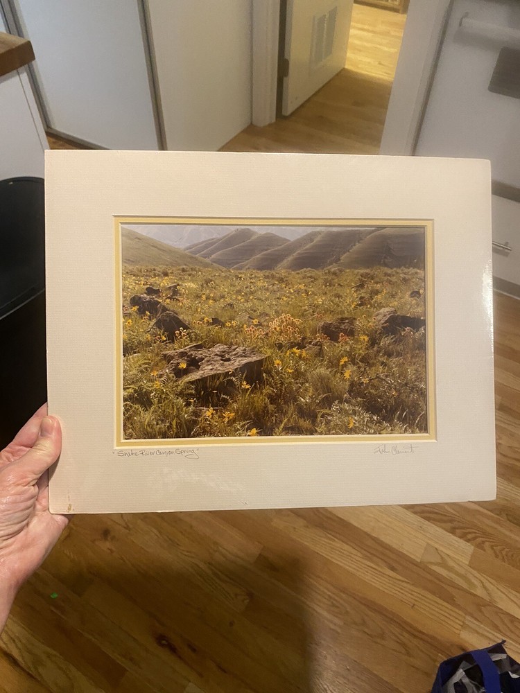 John Clement Snake River Canyon Spring Signed Print Matted 14” X 11”