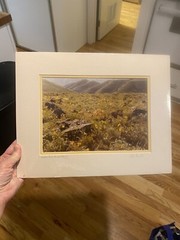John Clement Snake River Canyon Spring Signed Print Matted 14” X 11”