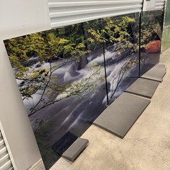 Peter Lik «Forest Dreams» 12 Foot Epic Washington Picture Recess