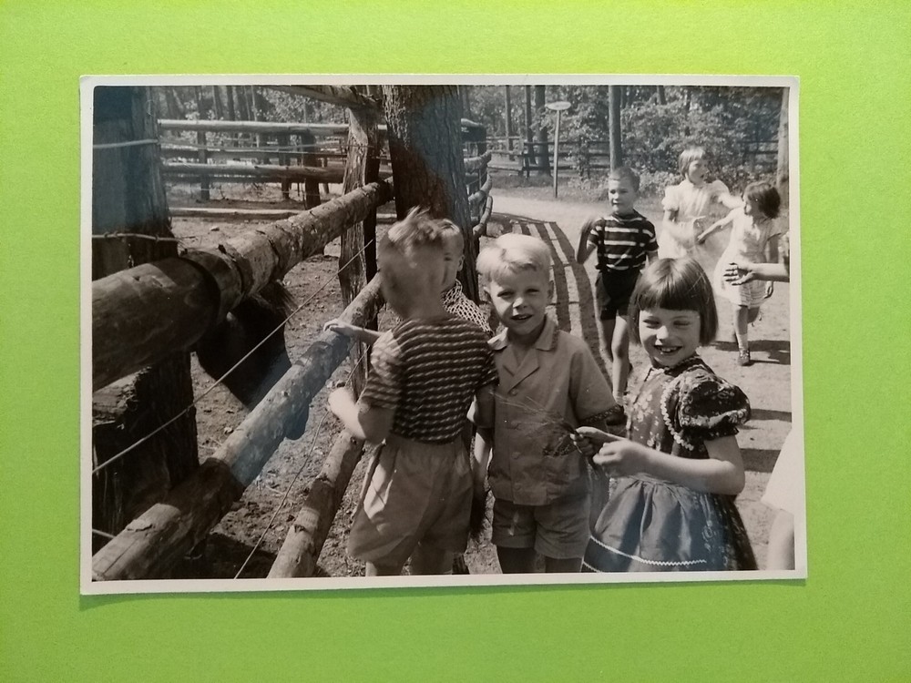 Altes Foto antik Jungen Pimpfe Mädchen Zoo Tierpark Girls Boys animal old Photo