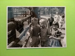 Altes Foto antik Jungen Pimpfe Mädchen Zoo Tierpark Girls Boys animal old Photo