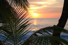 Costa Rica Nosara Photo of La Luna Sunset Canvas Beach Ocean Wall Art Palm Trees