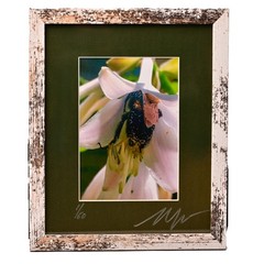 MICHAEL RAY Original Vintage Signed Long Island NY Floral Still Life Photograph
