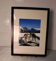 Alaskan Winter Photo Sled Dogs Framed Ready To Hang