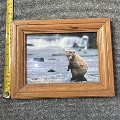 Kennan Ward Photography Bear On Rock On Water 5×7 Photograph Signed Wood Framed