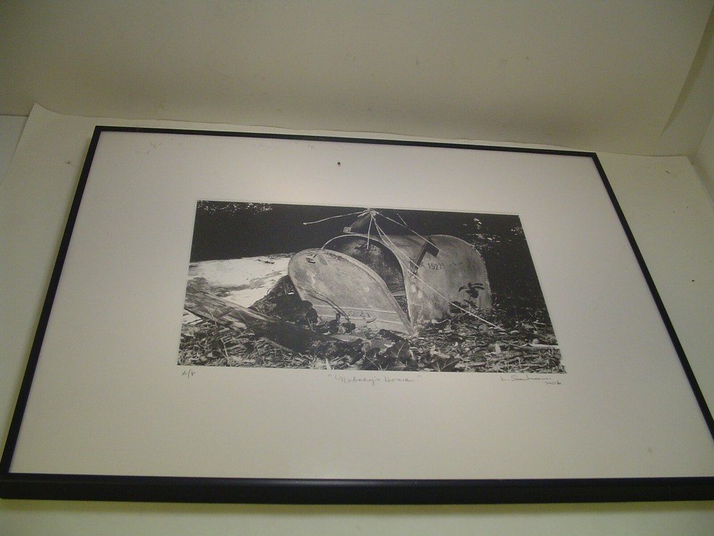 ART Photography Mailbox in leaves»Nobody’s home»2006 L. Santucci Frames 16x20in