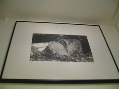 ART Photography Mailbox in leaves»Nobody’s home»2006 L. Santucci Frames 16x20in