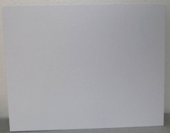 Great Blue Heron Wildlife Photo 8″ x 10″ in 11″ x 14″ Matte Signed by Kim Barry