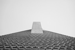 Photo Print SAN FRANCISCO Transamerica Pyramid Black and White Size 45x60cm