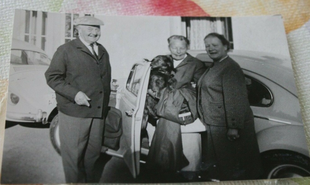 Photo 1964 VW Beetle car dog dog women woman M20