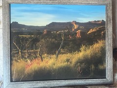 Photograph Of Desert In The Springtime Framed 15 1/2 X 12 1/2