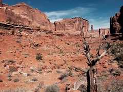 10×8 » Print Original Photo Photography Desert Art Decor Arches Narrows Canyons